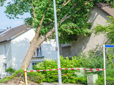 Ein umgefallener Baum neben einem Haus, umgeben von Absperrband.